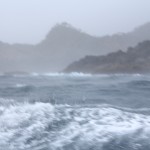 IMG_4297