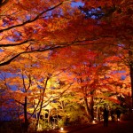 if_03