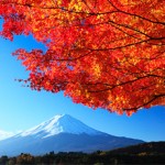pic_kouyou
