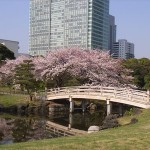 eventid_7902_pic3