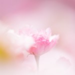 0226