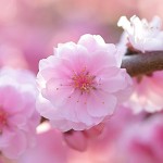 20160323082119