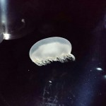 _20180627_125017