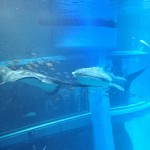 _20180627_125246
