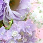 post3368_1