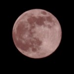 8c3ff_1500_4bf07b40_9383b059