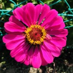 IMG_7846