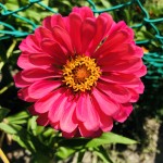 IMG_7847