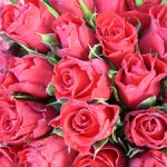 379131099_7931655d12