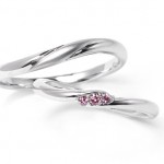 ﾛｰｽﾞﾏﾘｰ_pc