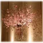 0422Img_3887
