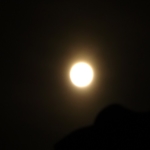 DSC00753